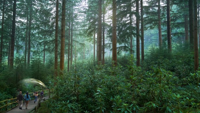 Center Parcs Center Parcs